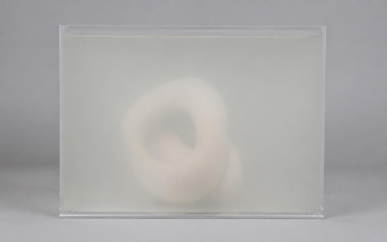 Discarded frame: a pale form lost inside a tank of cloudy water on a grey background